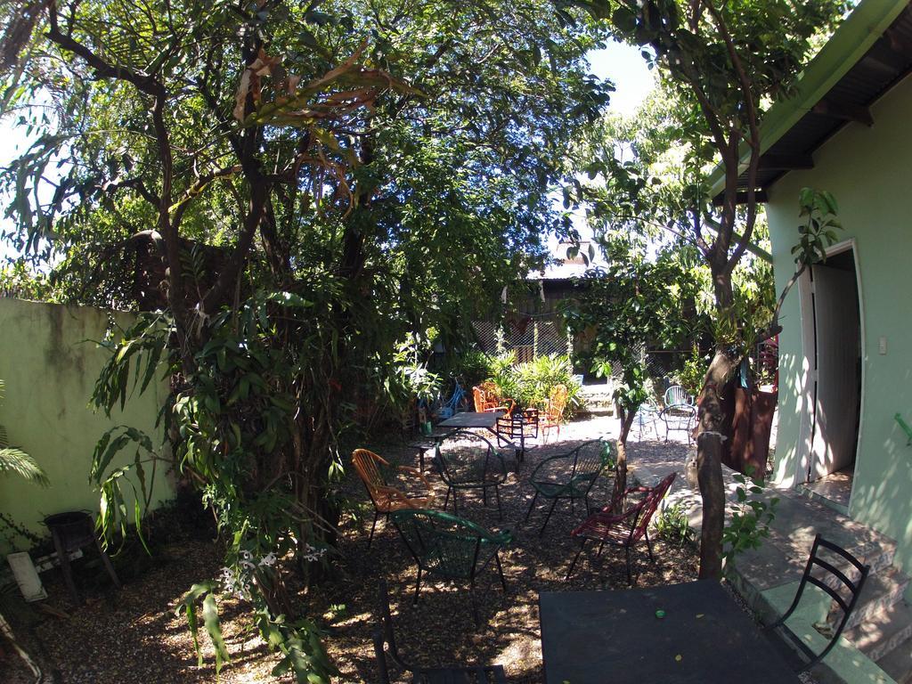 Hamaca Paraguaya Hostel Asunción Esterno foto