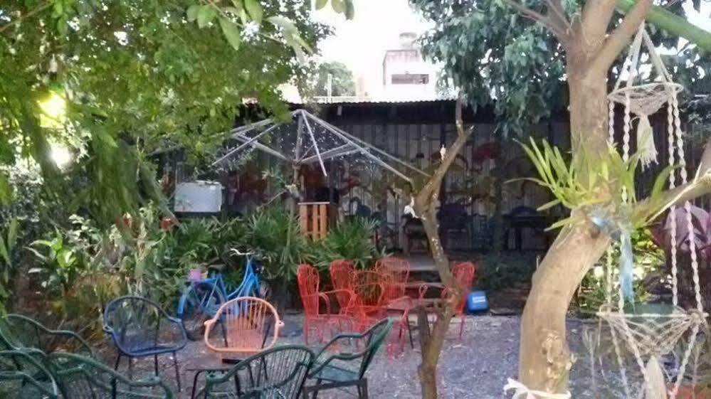 Hamaca Paraguaya Hostel Asunción Esterno foto